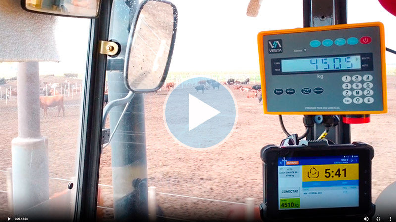 Video de la App Nutrack Gestionando Feedlots